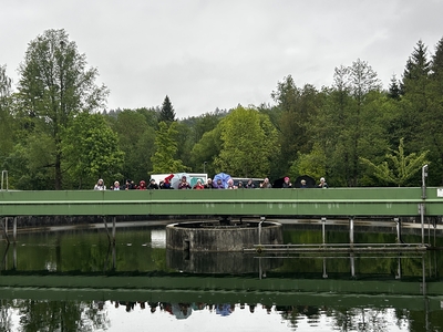 IMG 3977  002 